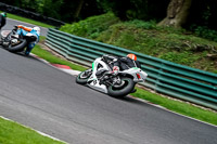 cadwell-no-limits-trackday;cadwell-park;cadwell-park-photographs;cadwell-trackday-photographs;enduro-digital-images;event-digital-images;eventdigitalimages;no-limits-trackdays;peter-wileman-photography;racing-digital-images;trackday-digital-images;trackday-photos